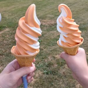 ほっとミルク（信州ミルクランド） 北海道メロンとミルクのミックス（大）
