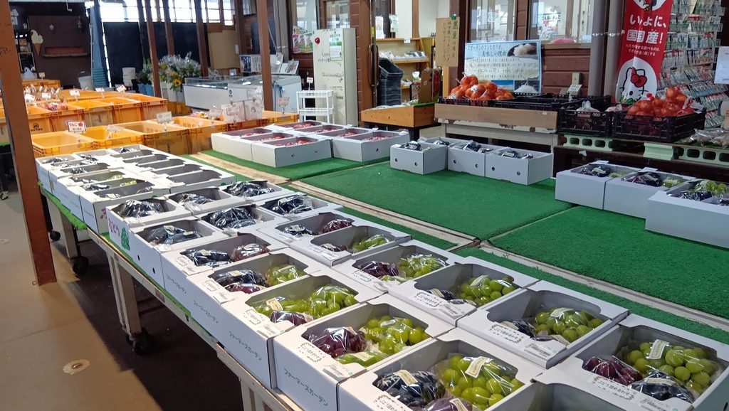 ファーマーズガーデンやまがた店内に並ぶ箱入りのぶどう