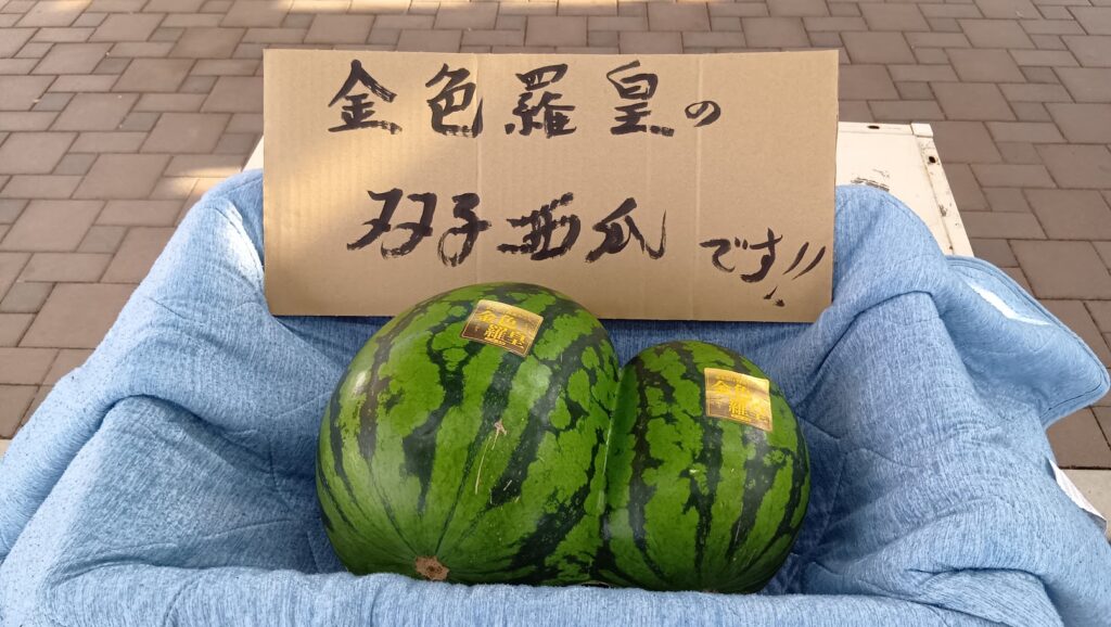 道の駅今井恵みの里の金色羅皇の双子すいか