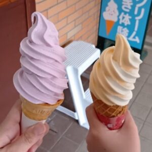 すずらんハウス ナガノパープル
あんずとすずらんソフトのミックス（ワッフルコーン）