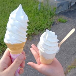 北アルプス牧場 直売店 牛乳ソフトクリーム
りんごアンドソフト