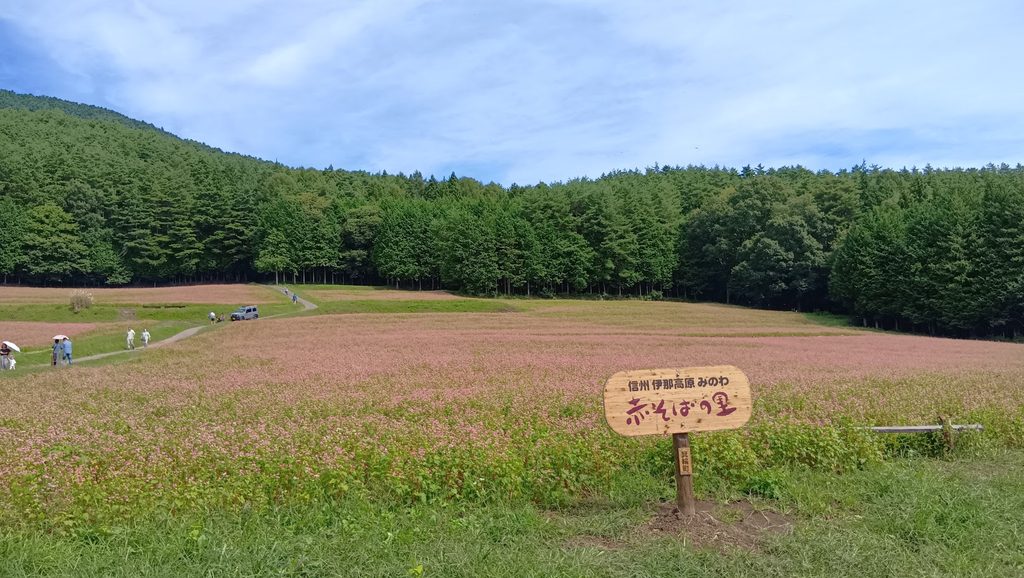 赤そばの里の看板と一面に広がる赤そば畑