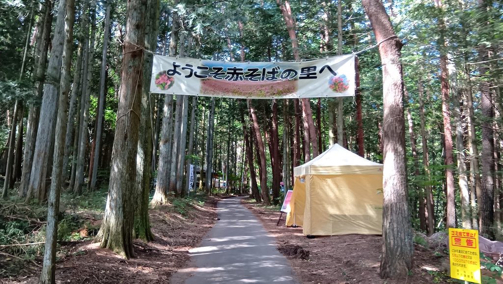 赤そば祭り初日の「ようこそ赤そばの里へ」の横断幕