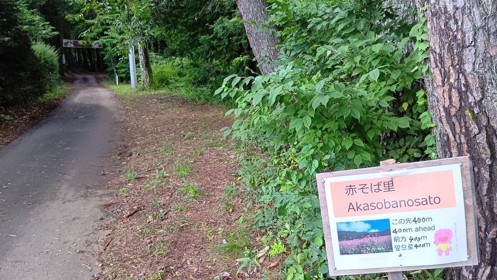 赤そばの里の案内