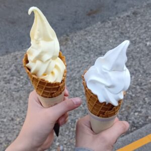 道の駅 木曽ならかわ りんご
バニラ