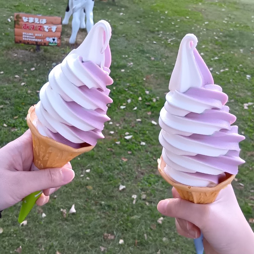 ほっとミルクの巨峰とミルクのミックスソフト