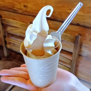 カワノホトリcafe ソフトクリーム