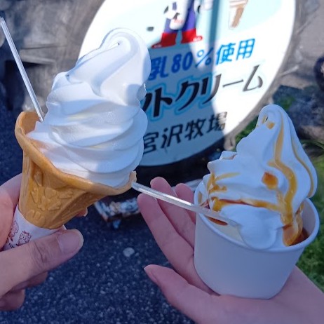 宮沢牧場 ソフトクリーム販売店 ソフトクリーム
りんごエキストッピングのソフトクリーム