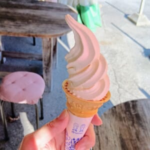 ジビエ工房木曽 百田商店 生乳ソフトクリーム